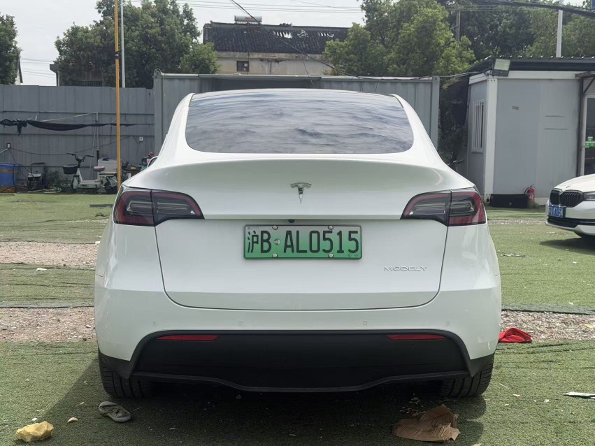 Tesla Model Y 2024 car image #8
