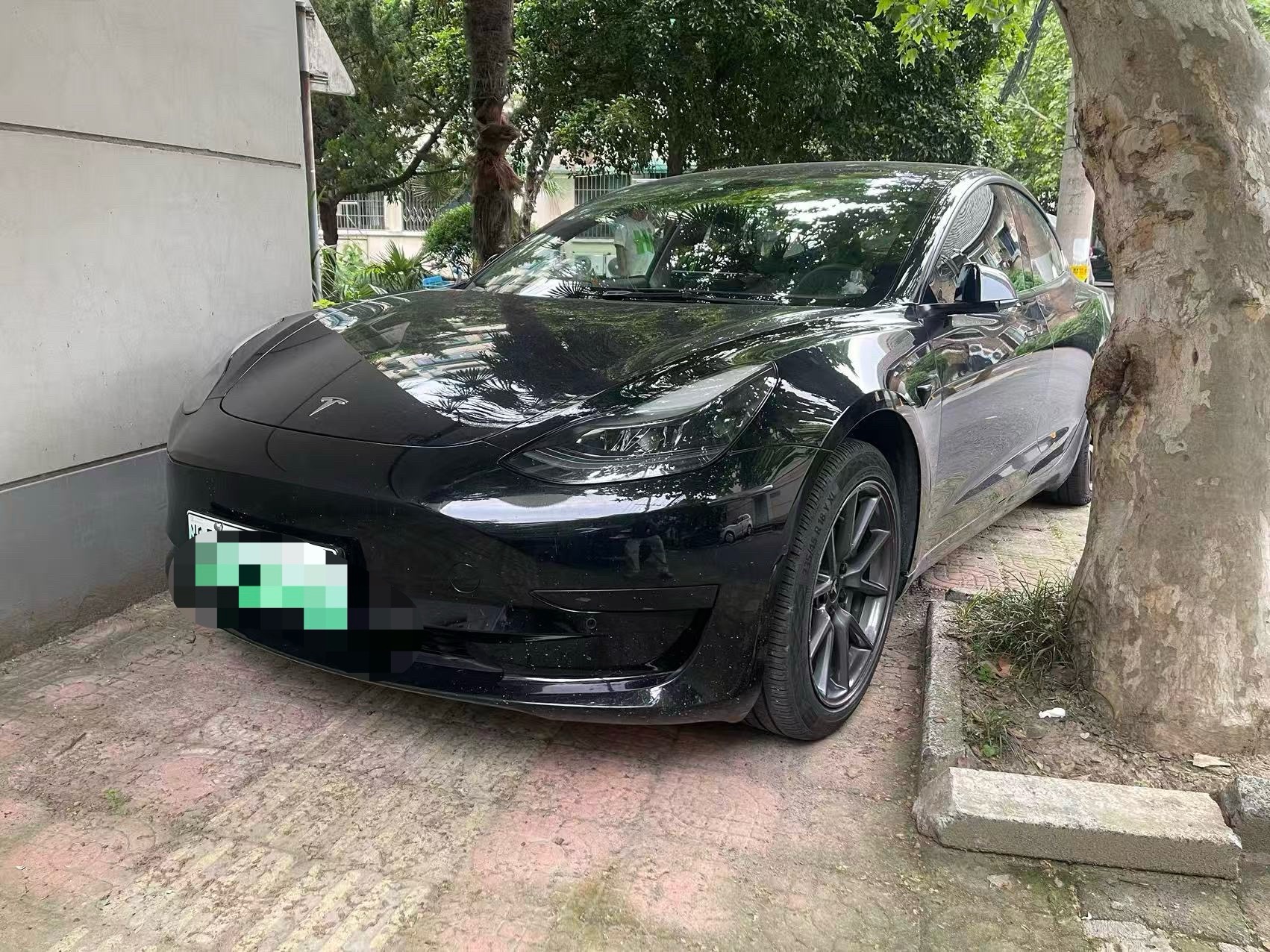 Tesla Model 3 2021 immagine di auto 