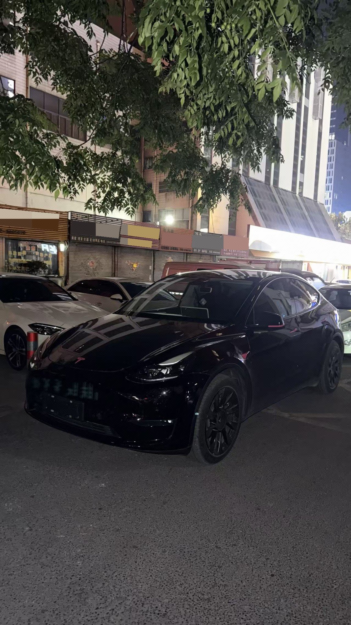 Tesla Model Y 2021 Tesla Model Y 2021 car image