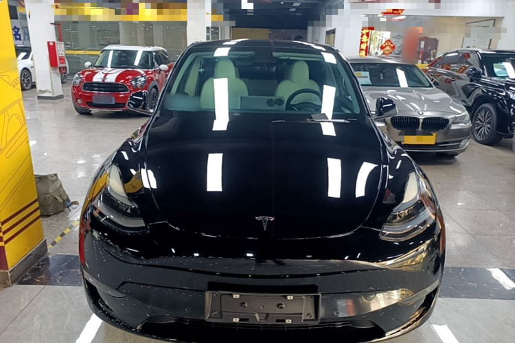Tesla Model Y 2022 immagine di auto #3