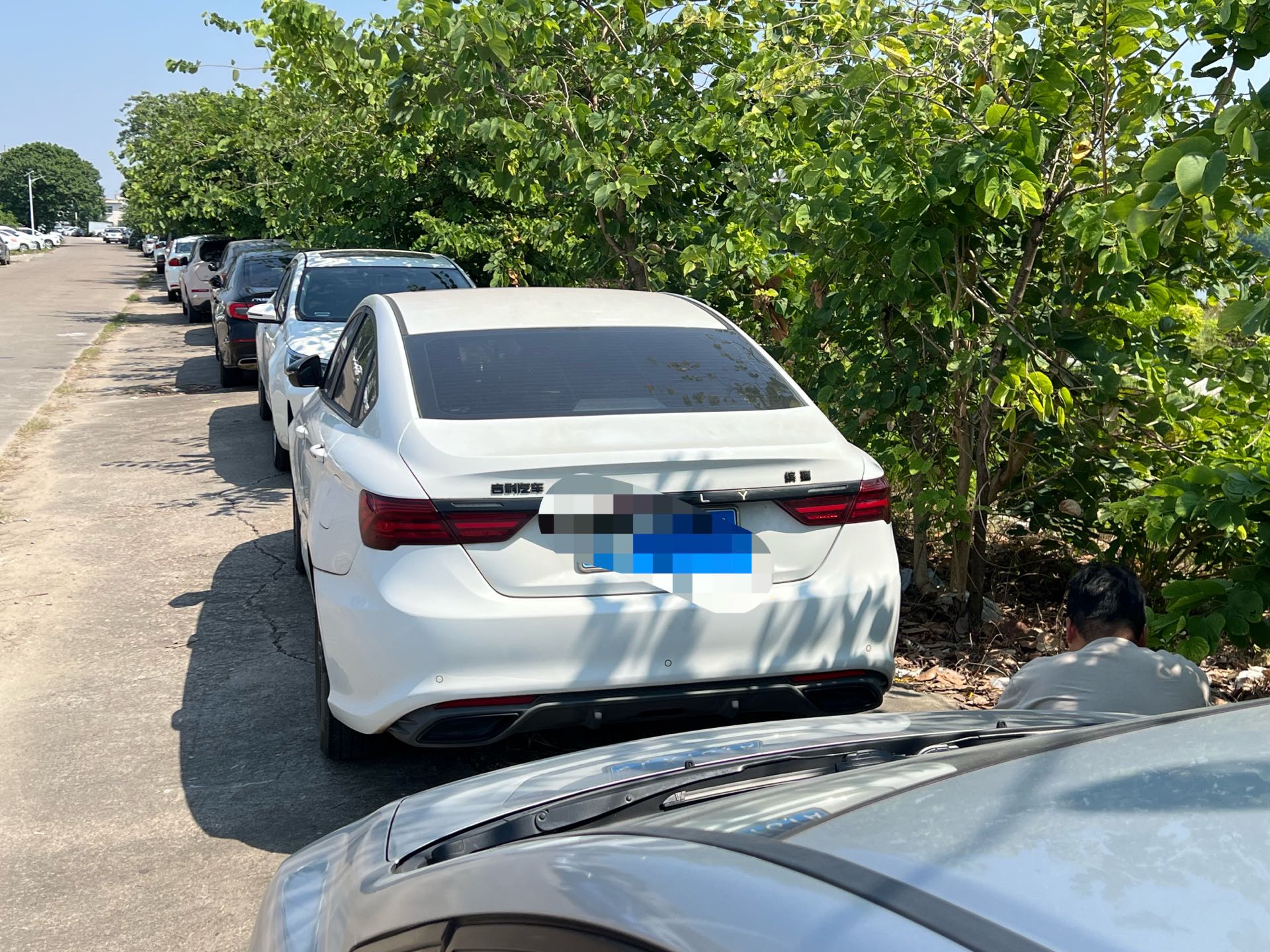 GEELY Binray 2020 #4 GEELY Binray 2020 صورة سيارة #4