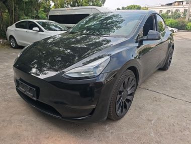 Tesla Model Y 2023 Tesla Model Y 2023 car image