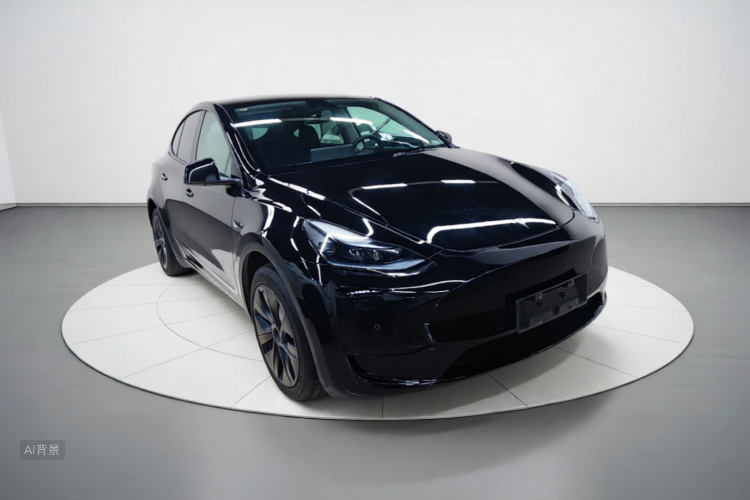 Tesla Model Y 2023 car image #4