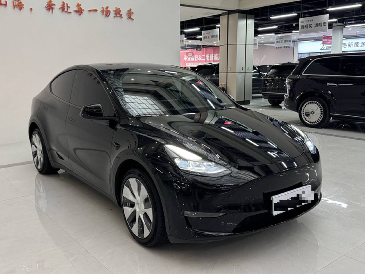 Tesla Model Y 2021 car image #5