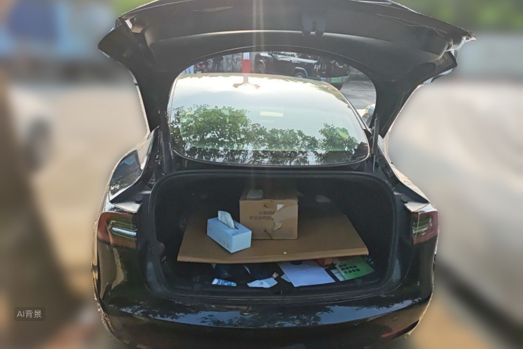 Tesla Model 3 2022 immagine di auto #21