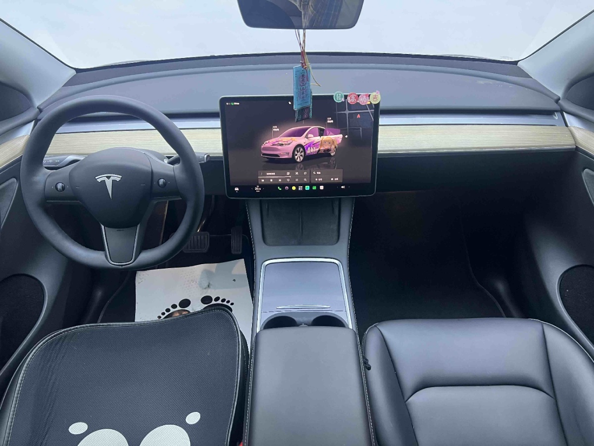 Tesla Model Y 2023 car image #6