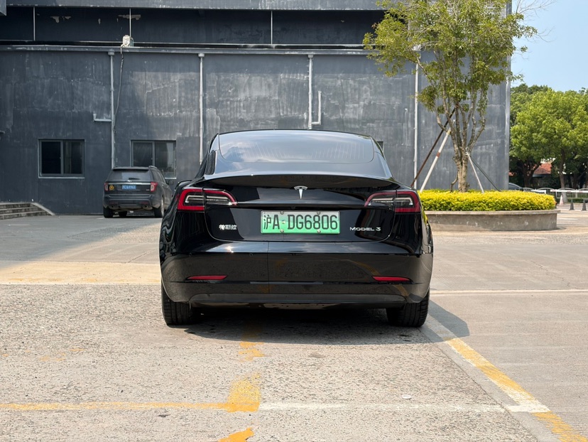 Tesla Model 3 2020 car image #4