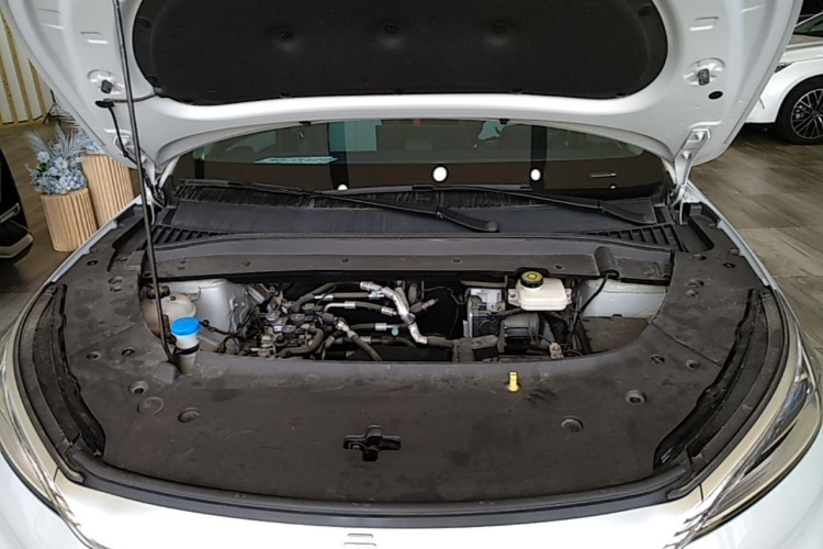 BYD Yuan Plus 2023 car image #22