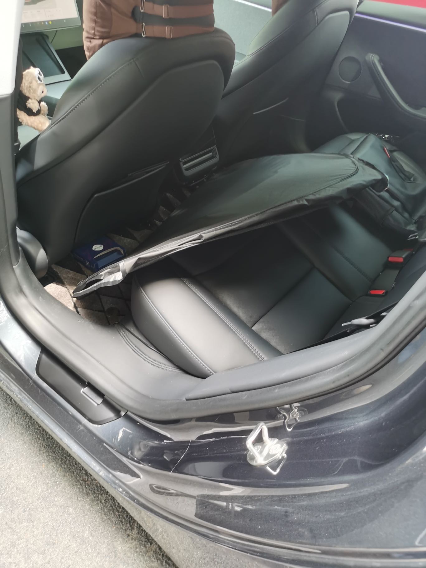 Tesla Model 3 2024 #6 Tesla Model 3 2024 immagine di auto #6
