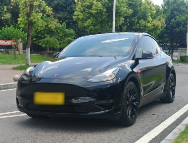Tesla Model Y 2021 Tesla Model Y 2021 car image