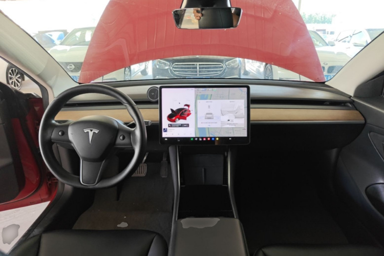 Tesla Model 3 2020 car image #10