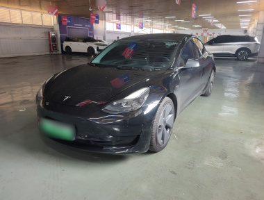 Tesla Model 3 2021 Tesla Model 3 2021 car image