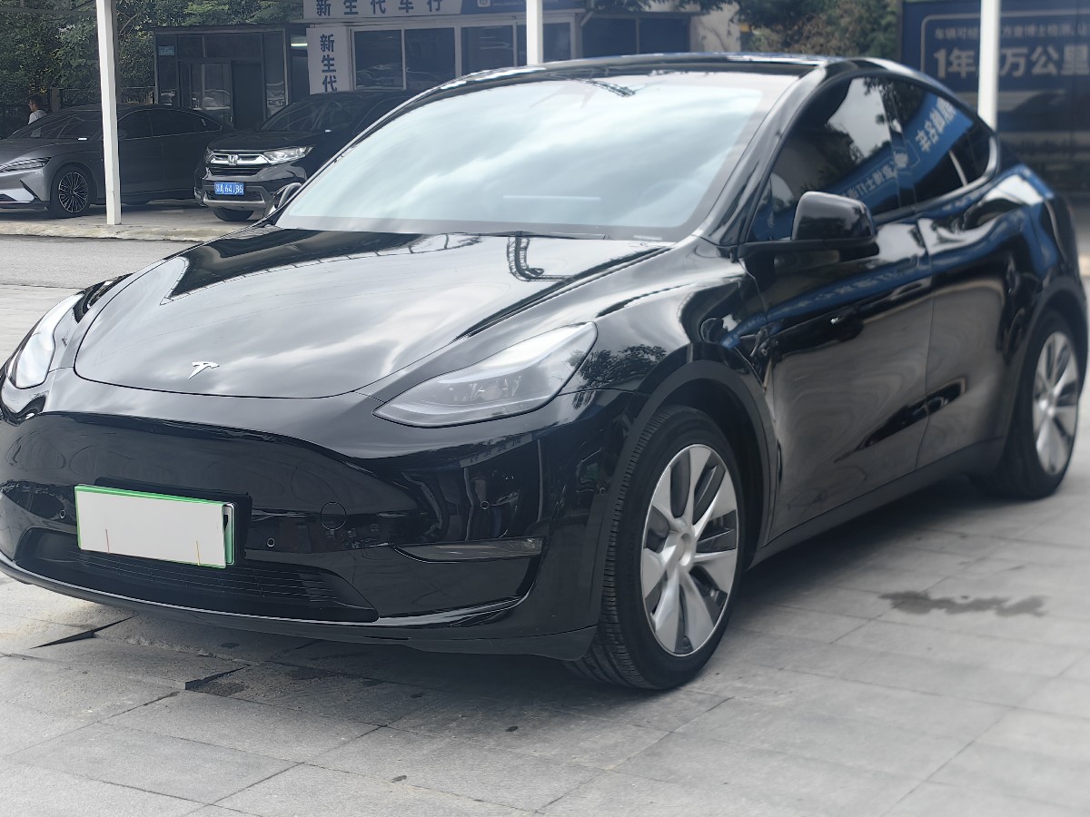 Tesla Model Y 2021 Tesla Model Y 2021 car image