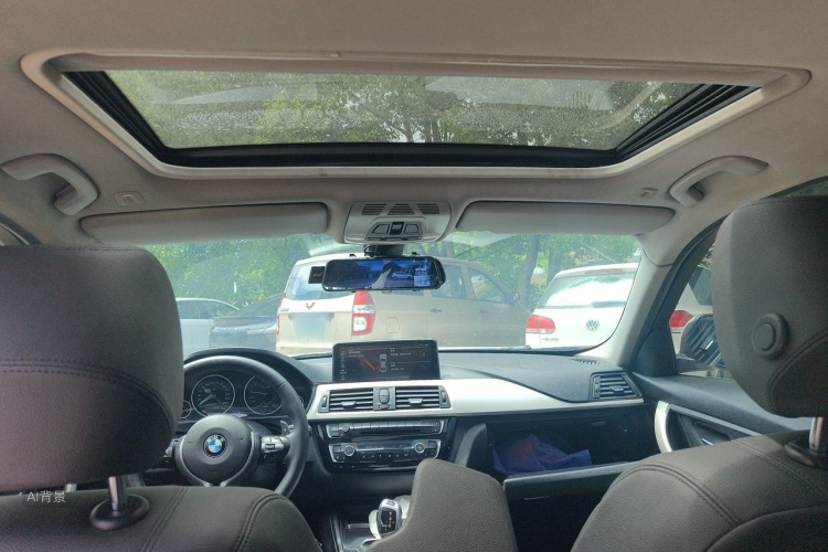 BMW 3 Series 2016 car image #20