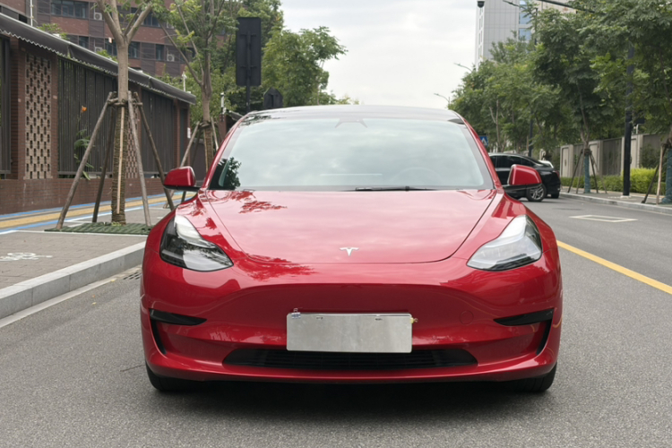 Tesla Model 3 2021 car image #4