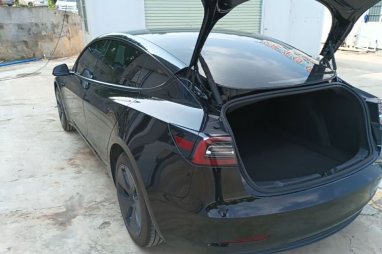 Tesla Model 3 2021 #5 Tesla Model 3 2021 car image #5