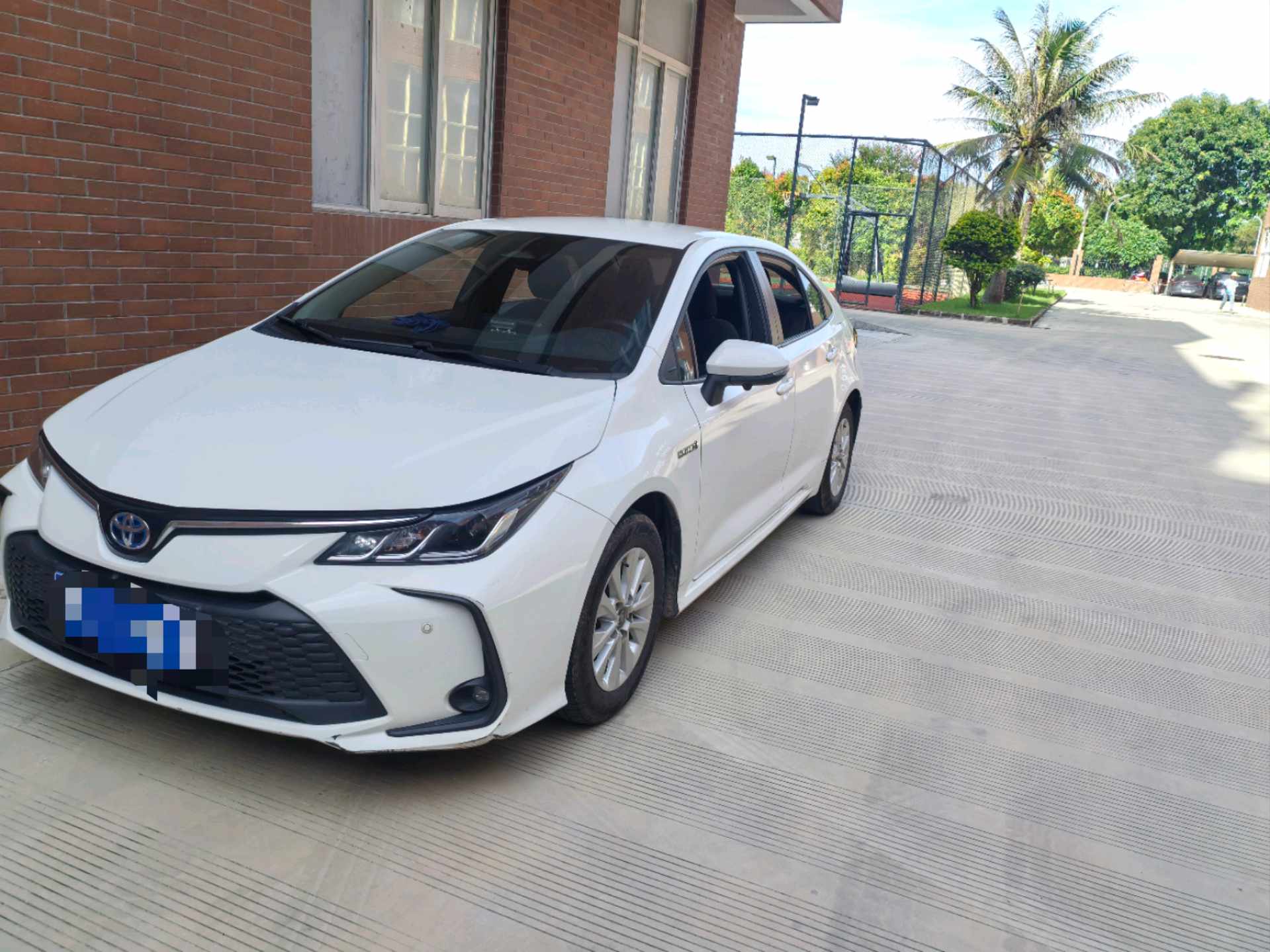 Toyota Corolla 2023 Toyota Corolla 2023 car image