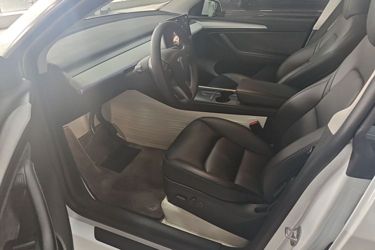 Tesla Model Y 2024 car image #15