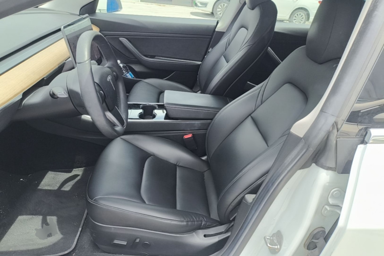 Tesla Model 3 2020 car image #15