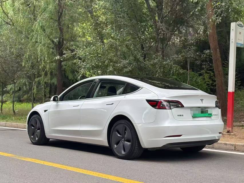 Tesla Model 3 2020 #6 Tesla Model 3 2020 car image #6