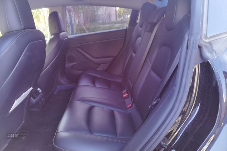 Tesla Model 3 2021 #19 Tesla Model 3 2021 car image #19