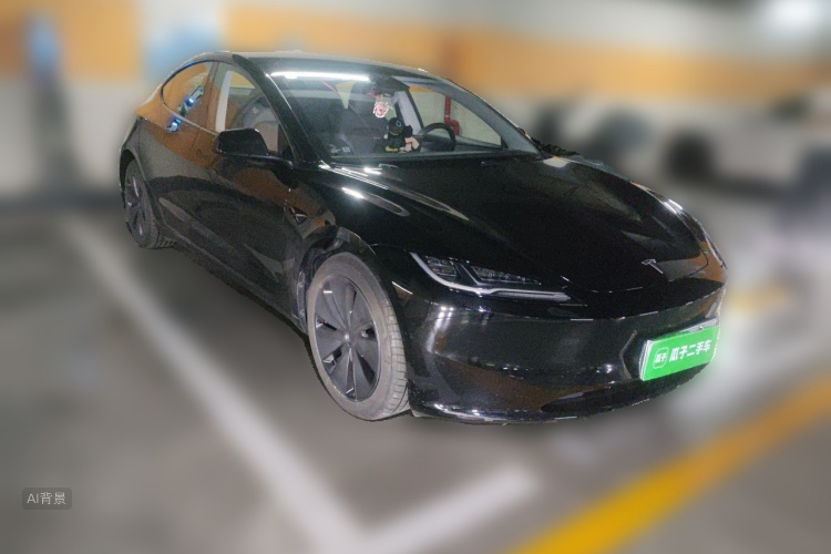 Tesla Model 3 2025 car image #4