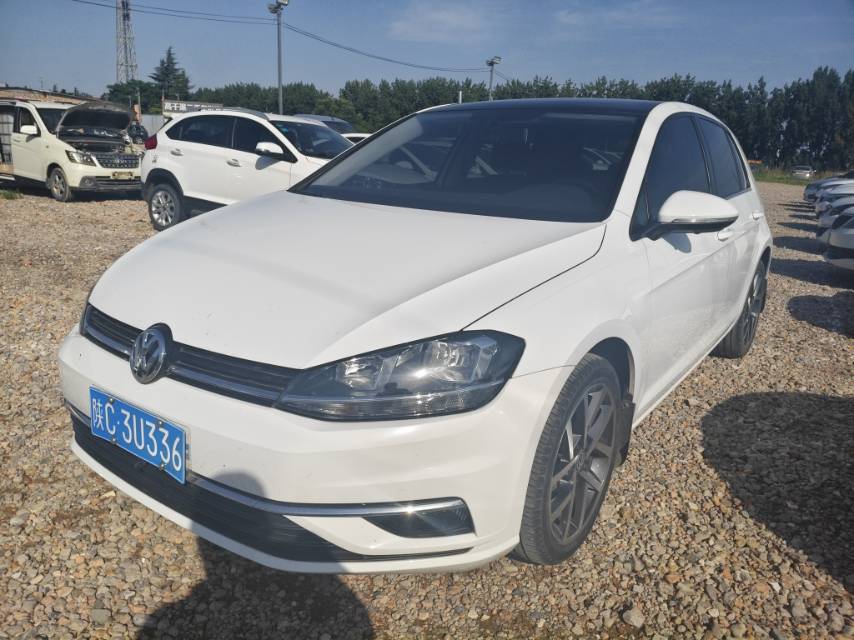 Volkswagen Golf 2020 Volkswagen Golf 2020 car image