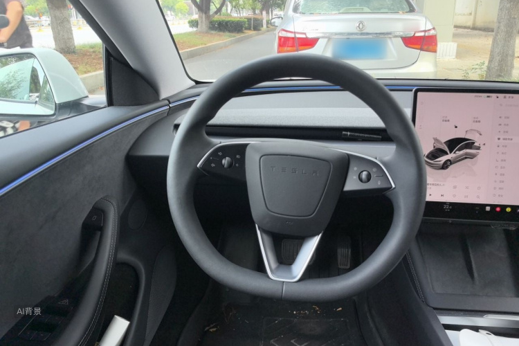 Tesla Model 3 2025 car image #12