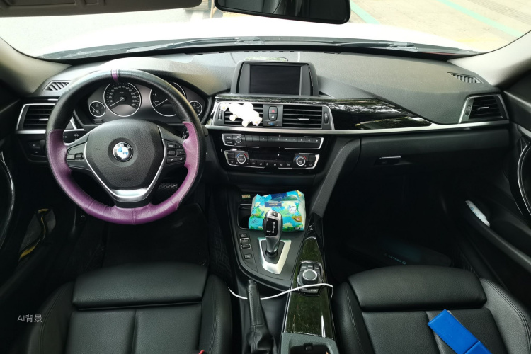 BMW 3 Series GT 2018 car image #11