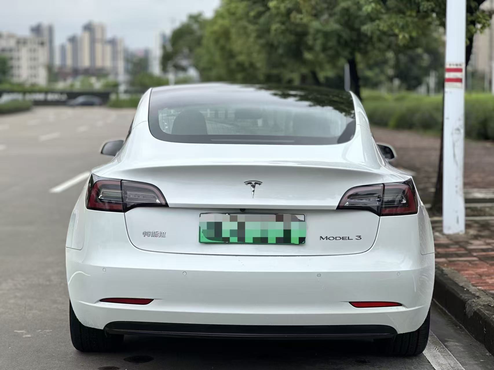 Tesla Model 3 2020 #8 Tesla Model 3 2020 car image #8