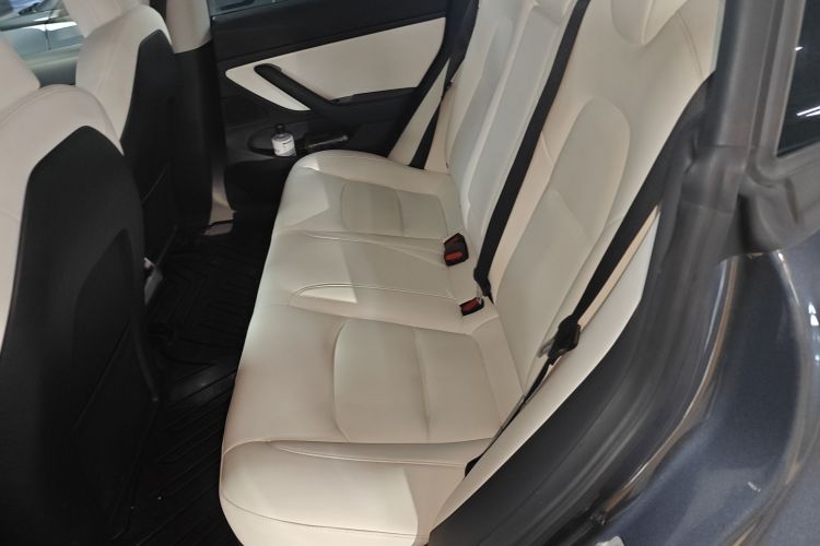 Tesla Model 3 2020 #17 Tesla Model 3 2020 car image #17