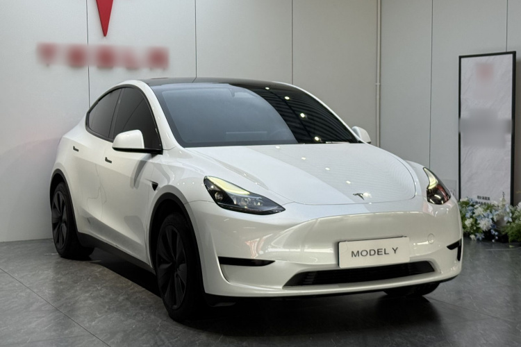 Tesla Model Y 2024 #6 Tesla Model Y 2024 car image #6
