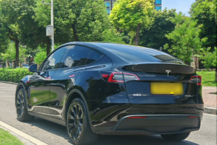 Tesla Model Y 2021 #8 Tesla Model Y 2021 car image #8