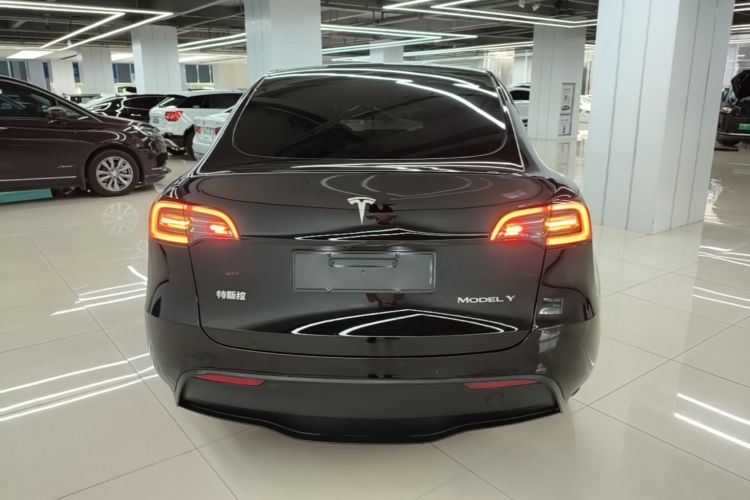 Tesla Model Y 2023 car image #6