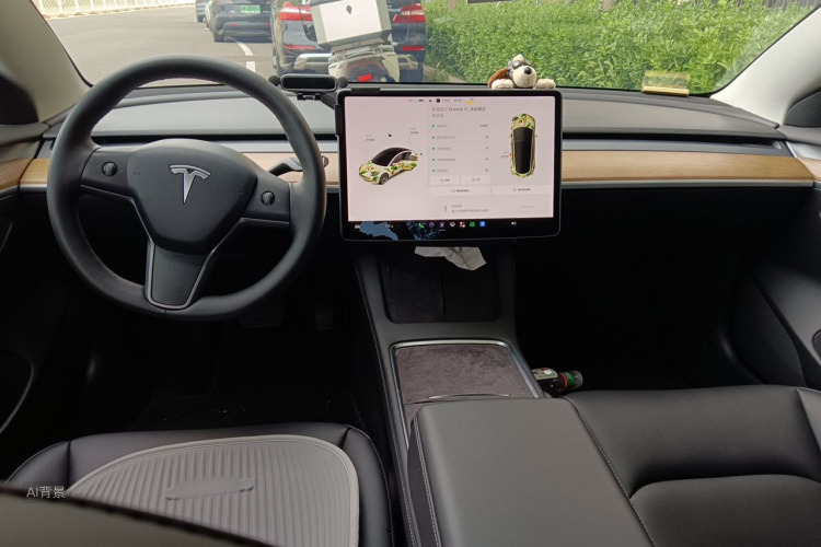 Tesla Model 3 2021 #11 Tesla Model 3 2021 car image #11