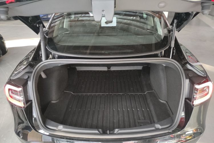 Tesla Model 3 2022 immagine di auto #19