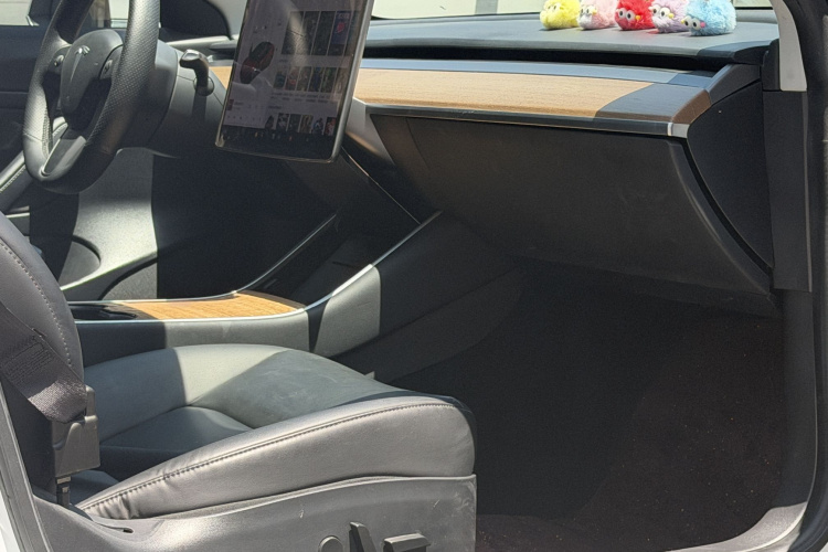 Tesla Model 3 2020 car image #26