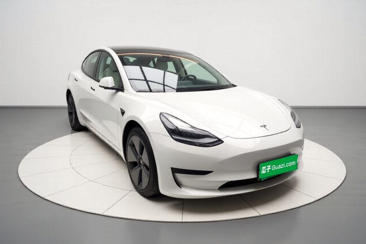 Tesla Model 3 2021 #4 Tesla Model 3 2021 car image #4