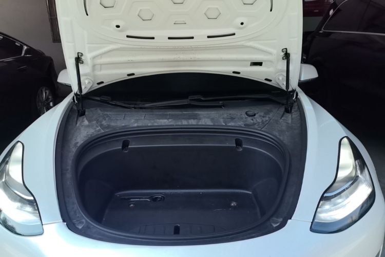 Tesla Model 3 2020 immagine di auto #20