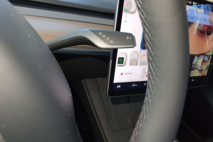 Tesla Model Y 2021 car image #14