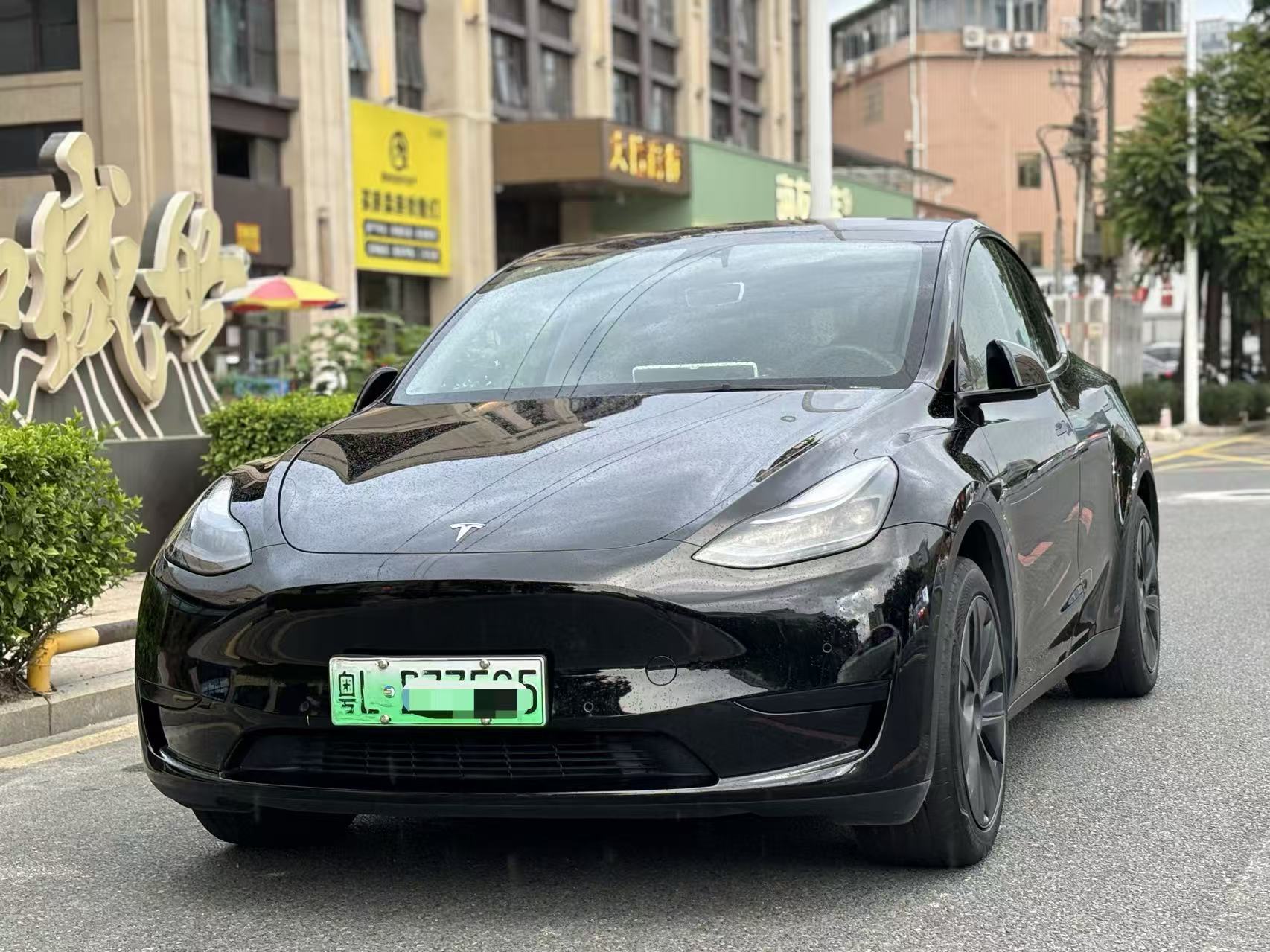 Tesla Model Y 2024 car image 