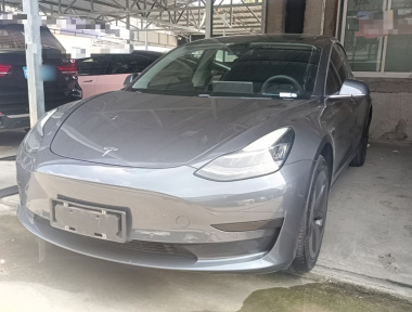 Tesla Model 3 2020 Tesla Model 3 2020 car image