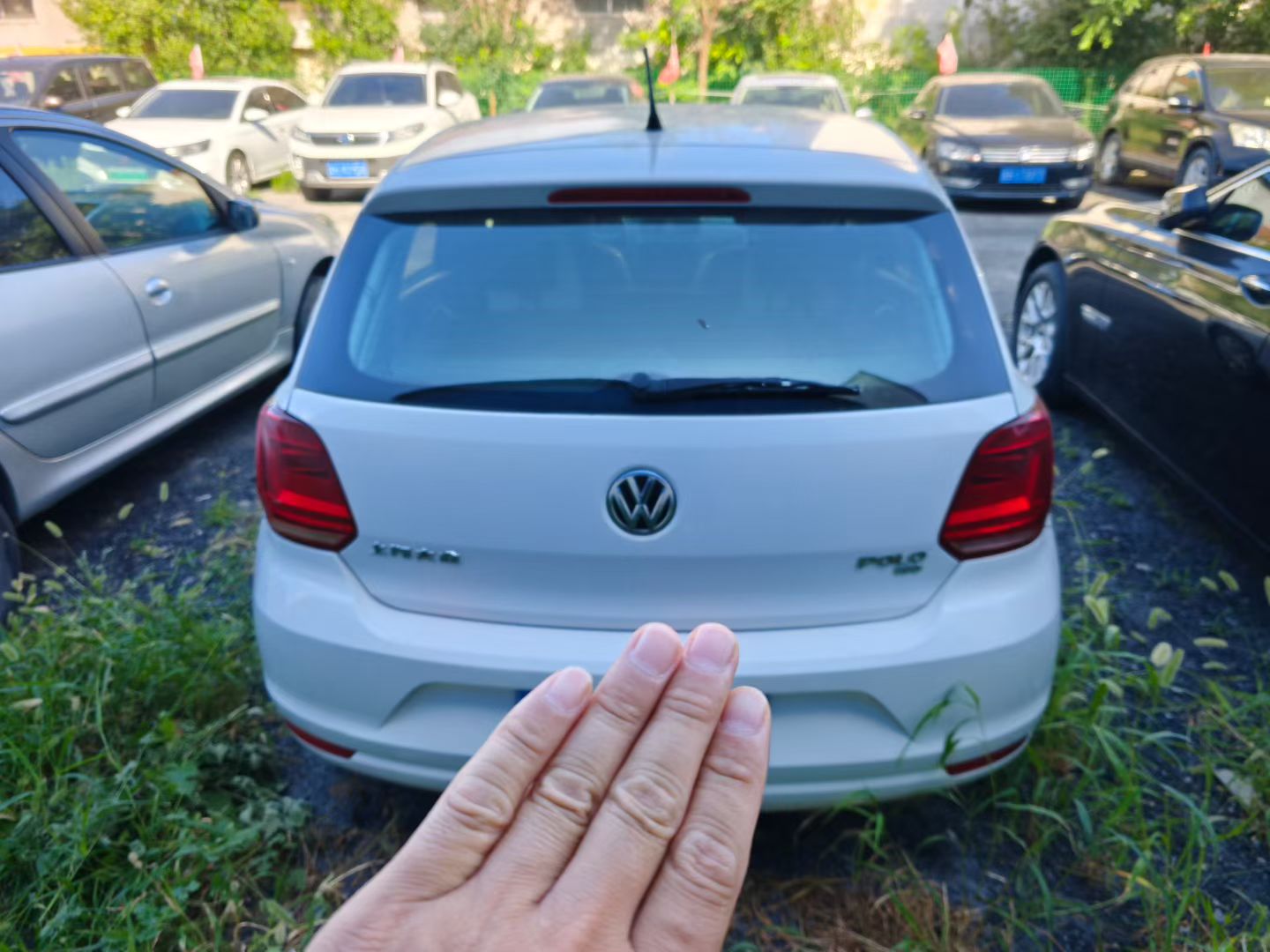 Volkswagen Polo 2019 #5 Volkswagen Polo 2019 car image #5