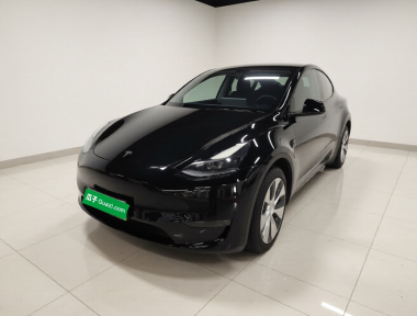 Tesla Model Y 2021 Tesla Model Y 2021 car image