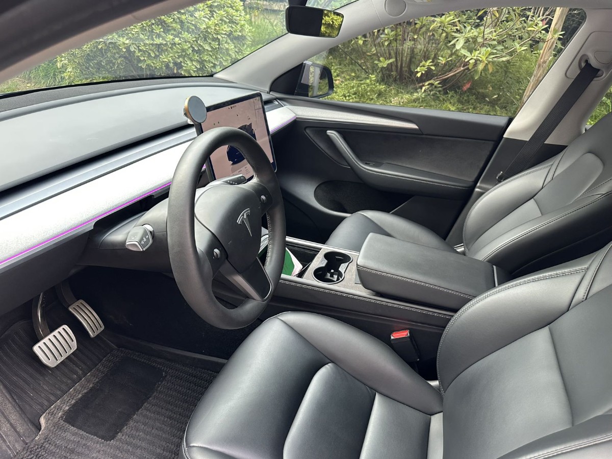 Tesla Model Y 2023 car image #10
