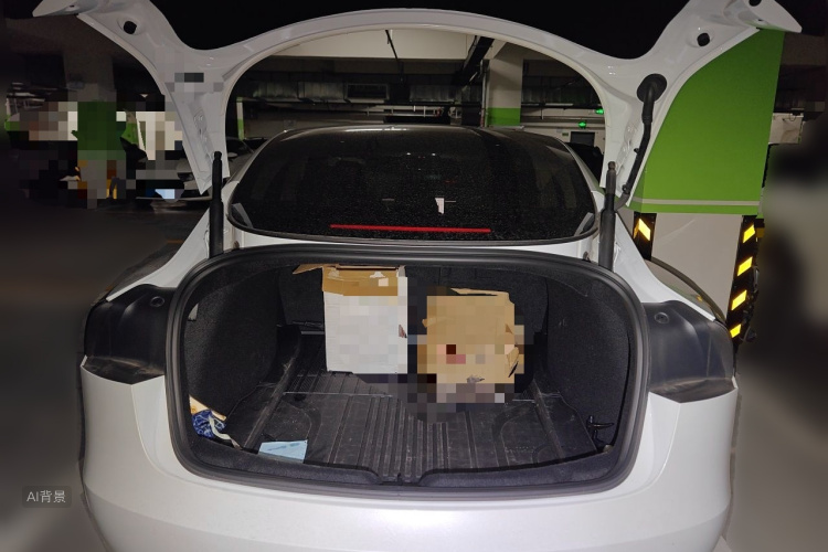 Tesla Model 3 2025 car image #21