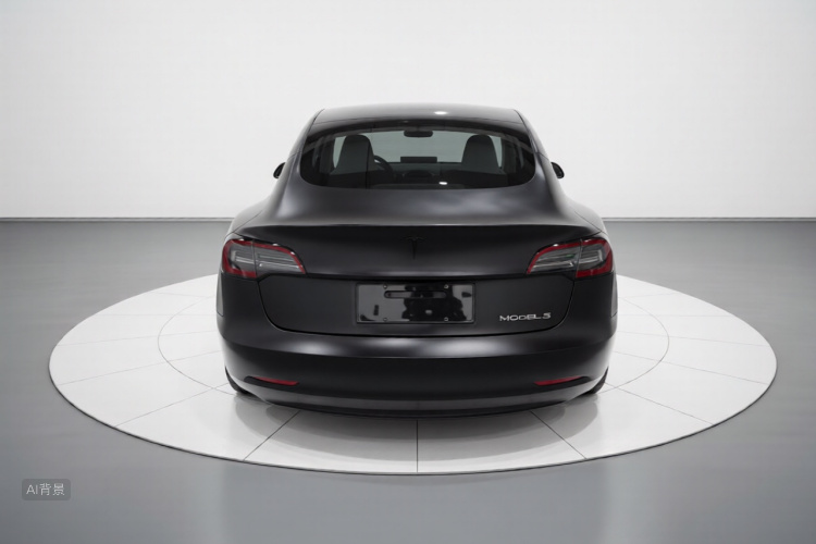 Tesla Model 3 2020 car image #6