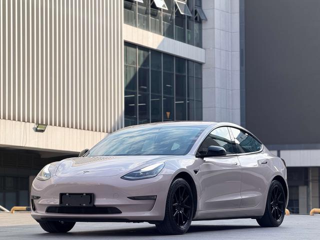 Tesla Model 3 (Imported) 2019 #24 Tesla Model 3 (Imported) 2019 car image #24