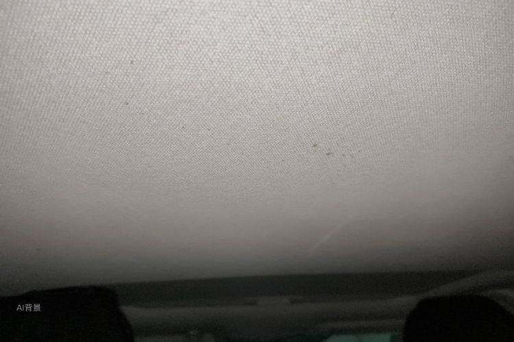 Toyota Corolla 2020 immagine di auto #20