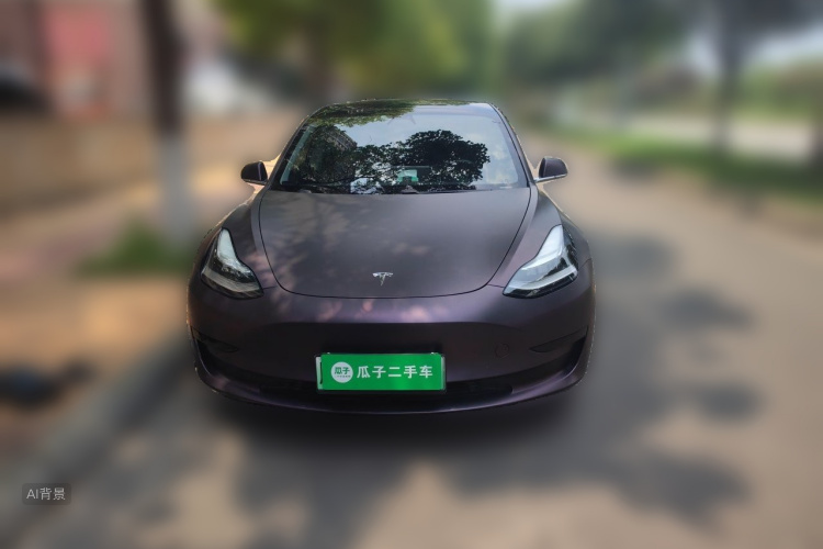 Tesla Model 3 2020 #3 Tesla Model 3 2020 car image #3